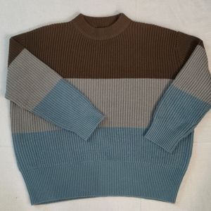 Rare Petite Studio Color Block Crew Neck Sweater